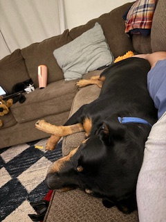 Brandie, photo 3