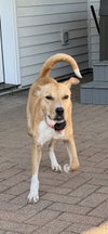Rosie
