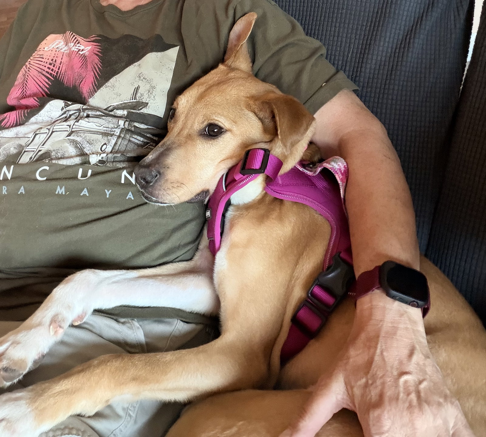 Rosie, photo 7