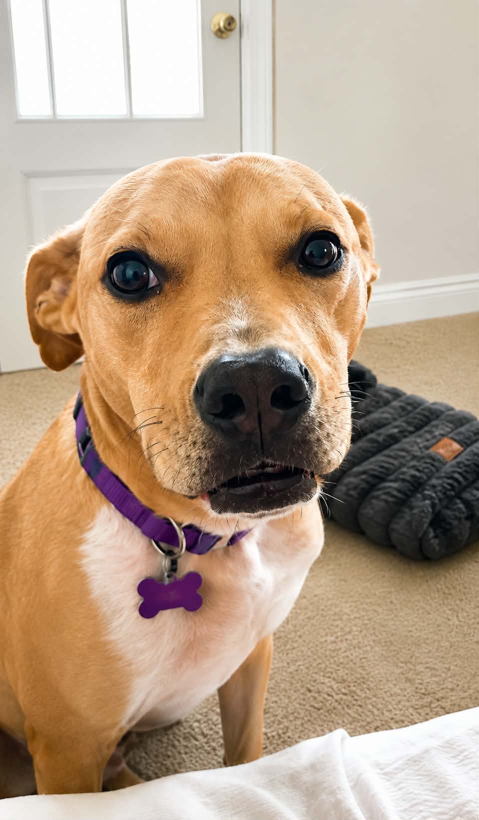 Rosie, photo 2