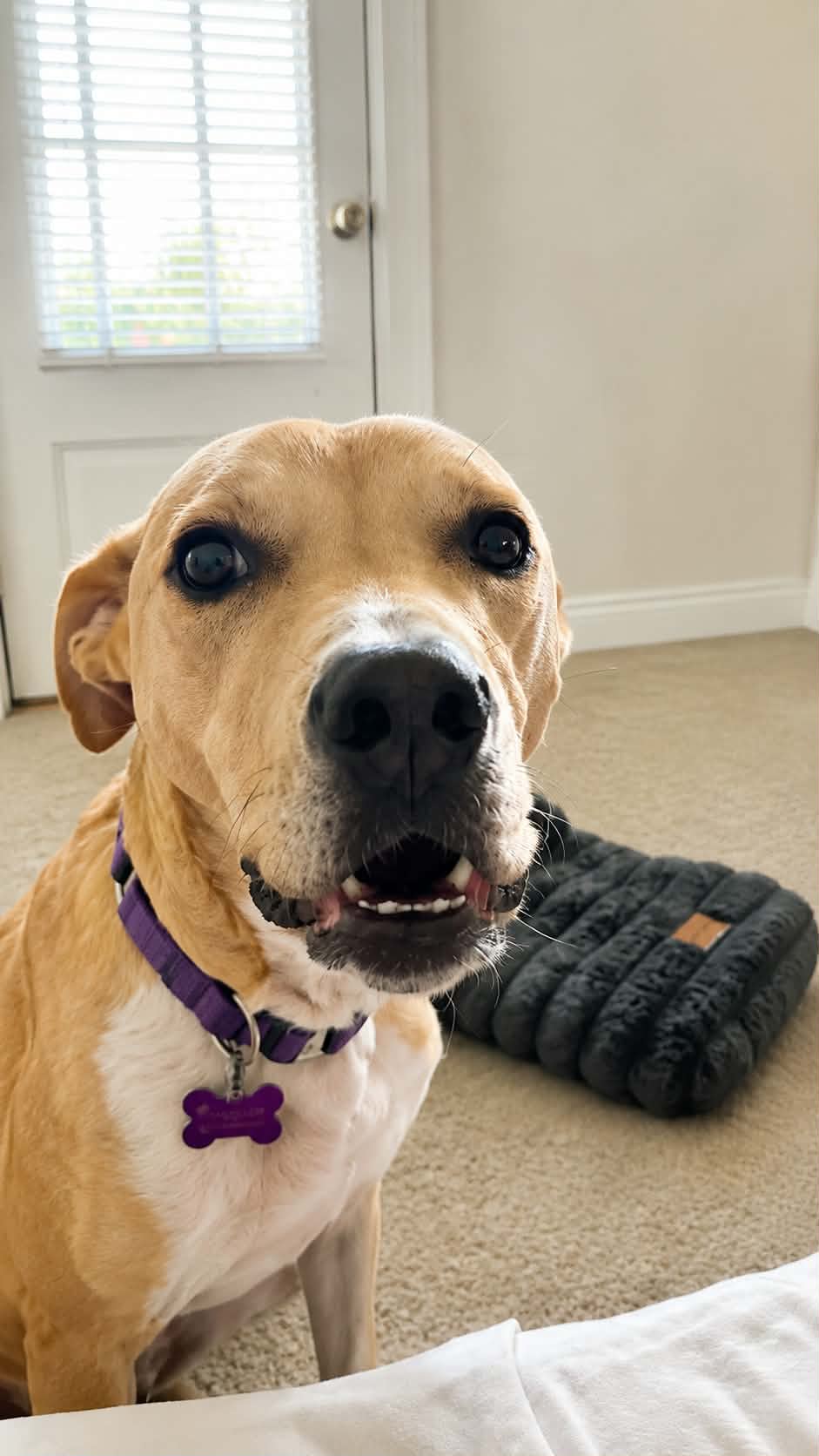 Rosie