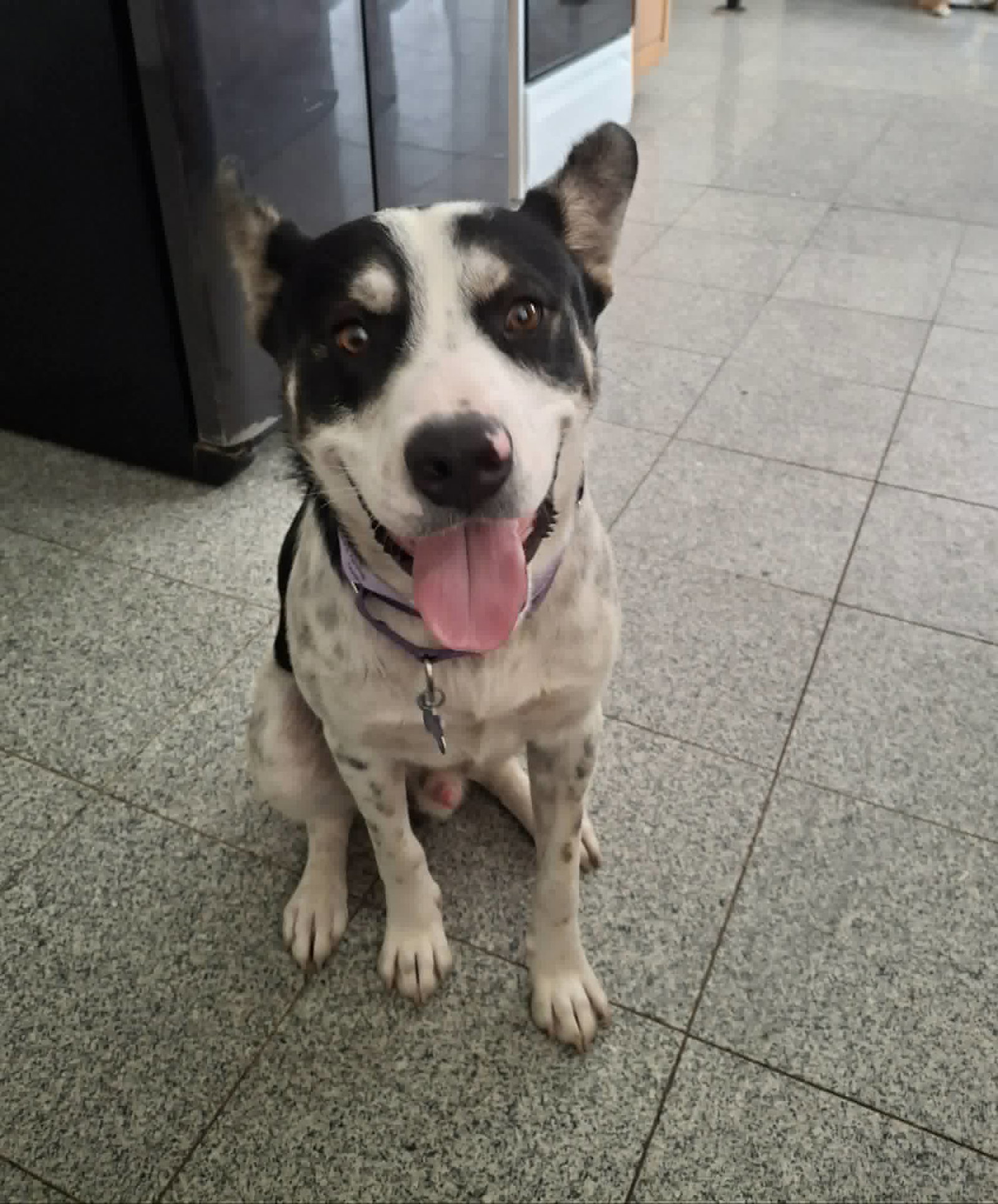Keno, photo 6
