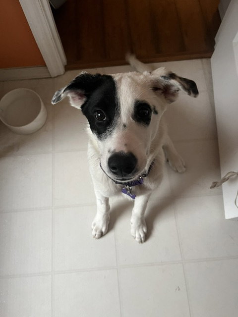Fiona