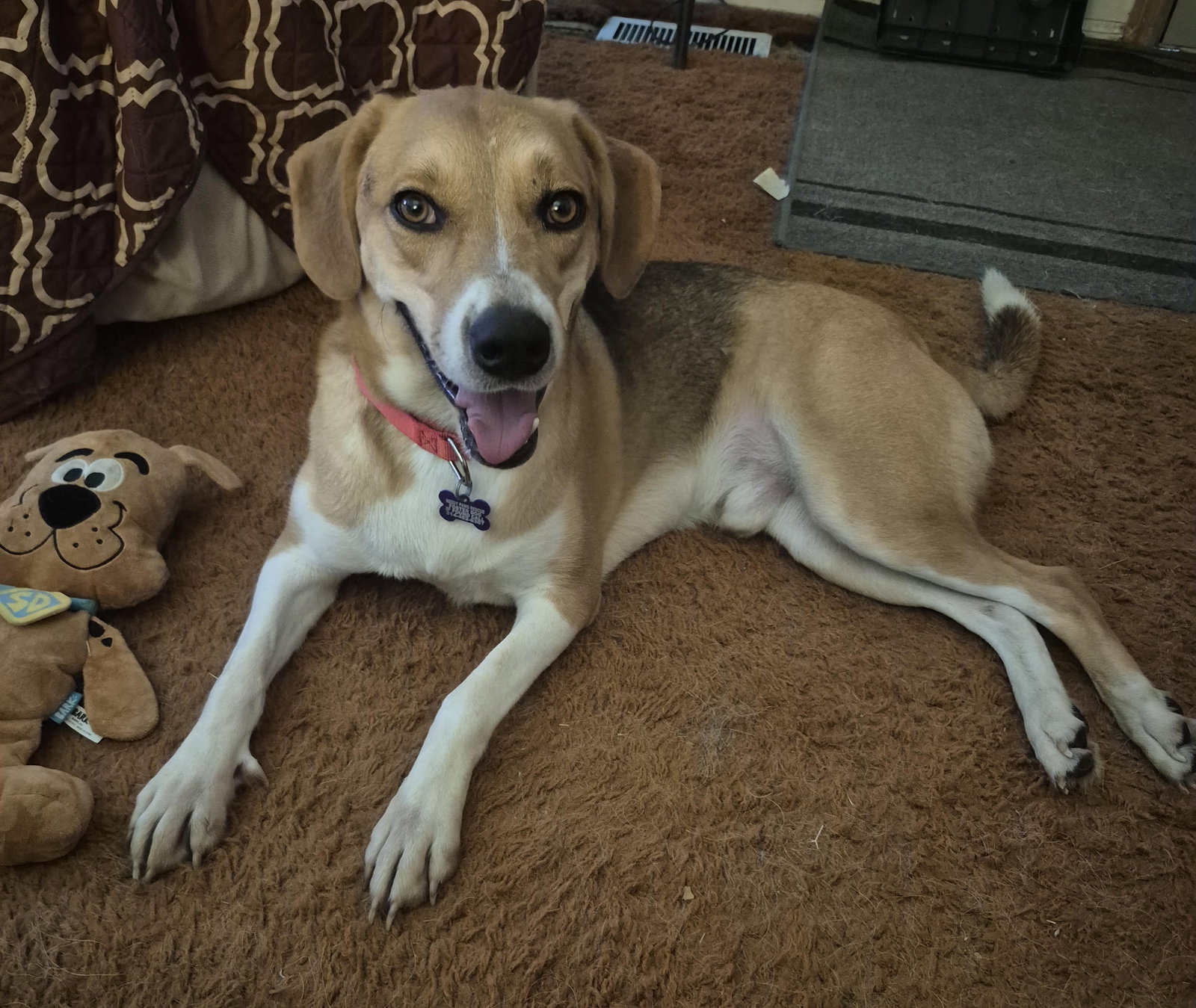 Clyde, photo 2