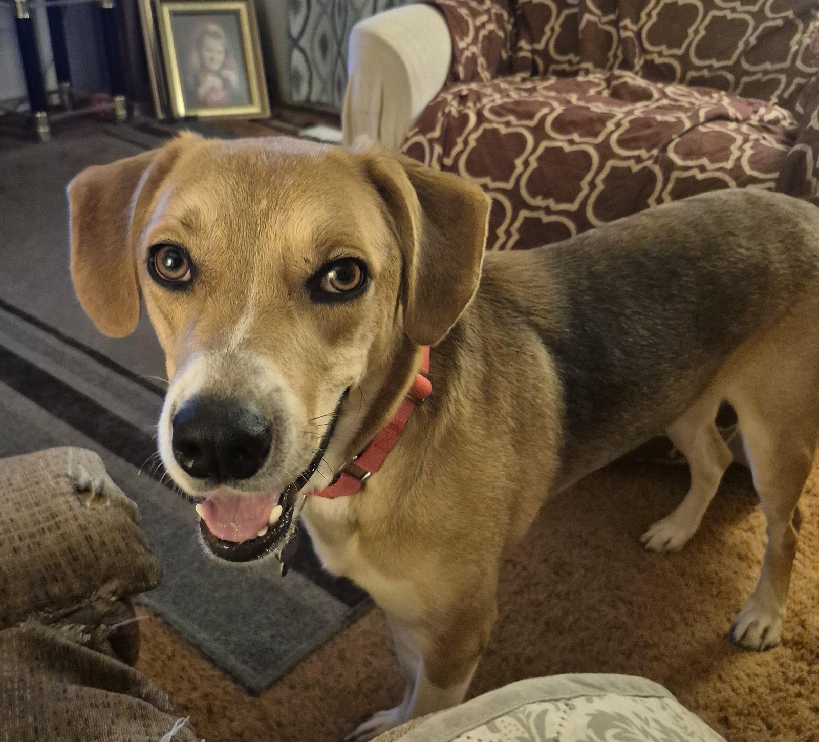 Clyde, photo 3