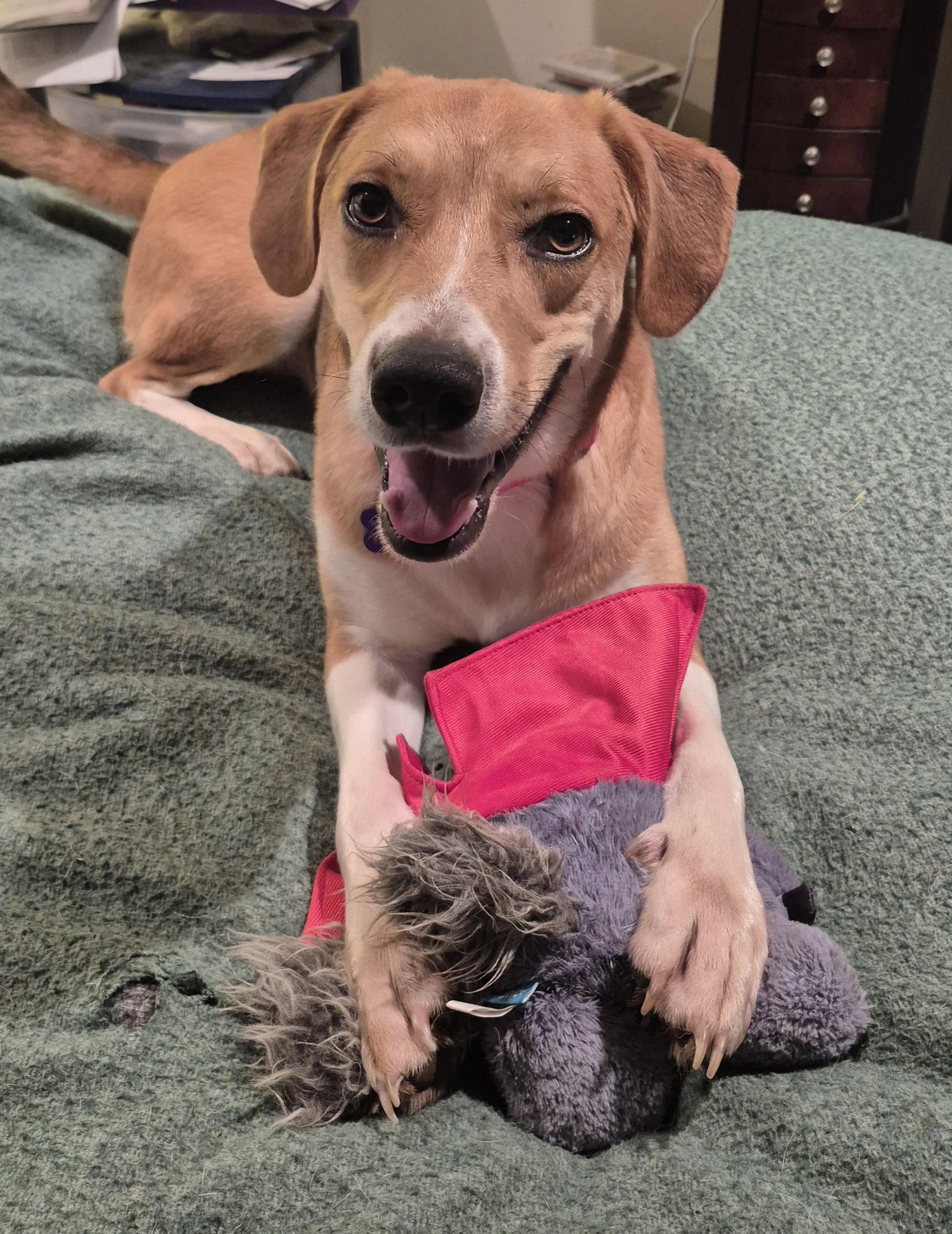 Clyde, photo 4