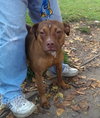 Roxie
