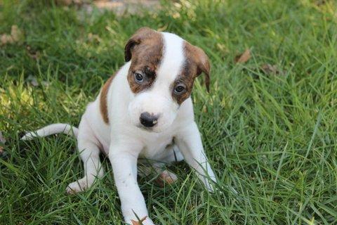 Maggie