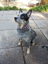 Lulabelle