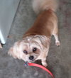 Chester