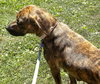 Bella
