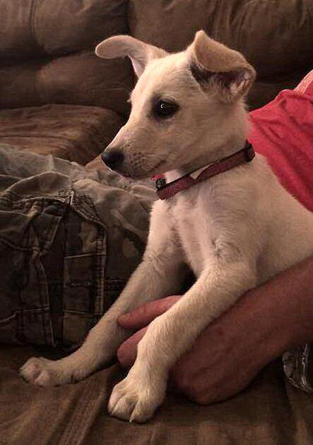 Bitty Baby