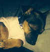 Lola