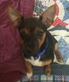Lola