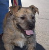 Buster