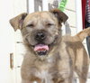 Buster