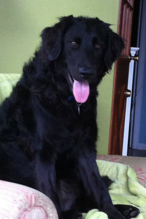 Onyx