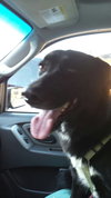 Maggie
