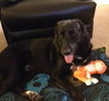 Maggie