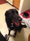 Maggie