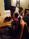 Buford