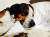 Buford