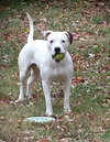 Macy