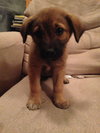 Jaxson