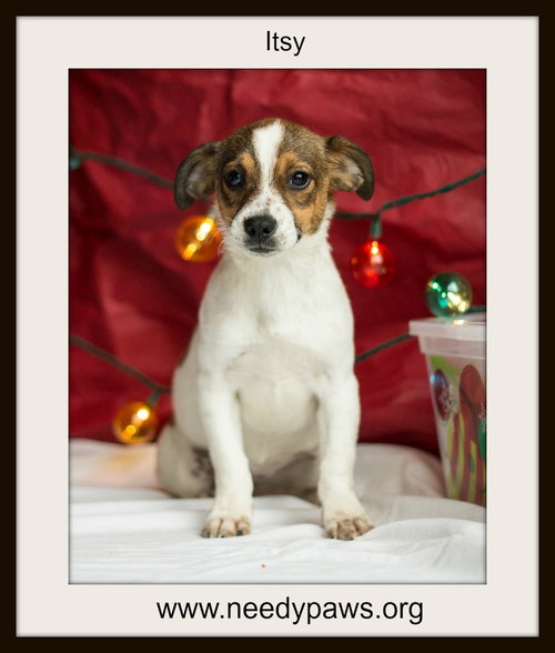 Itsy