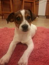 Itsy