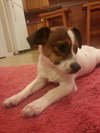 Itsy