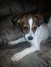 Itsy
