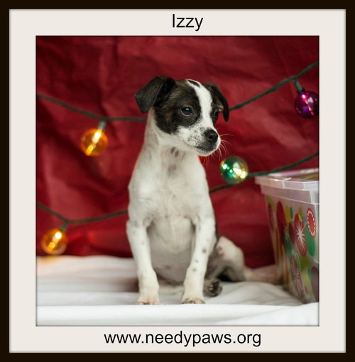 Izzy