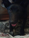 Oliver