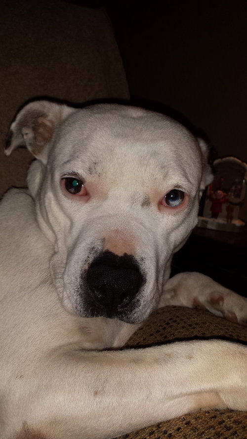 Molly