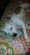 Molly