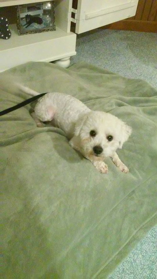 Casper