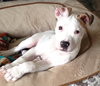BRandy