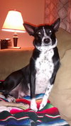 Molly Moo