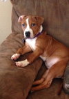 Ruby