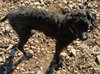 Gia - Courtesy posting