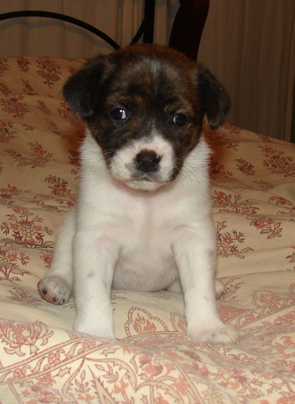 Rylee