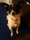 Izzy P