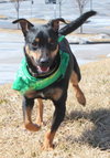 Jaxx