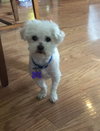 Lucy