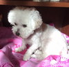 Lucy