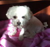 Lucy