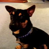 Ricco