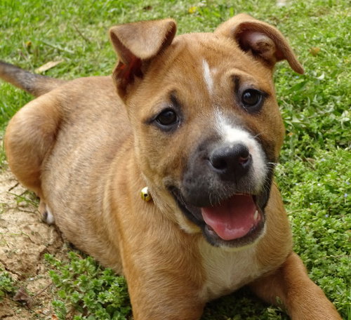 Shirley