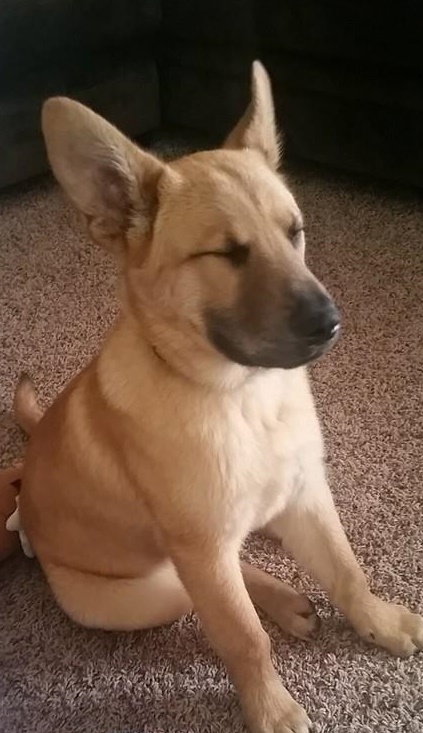 Sawyer